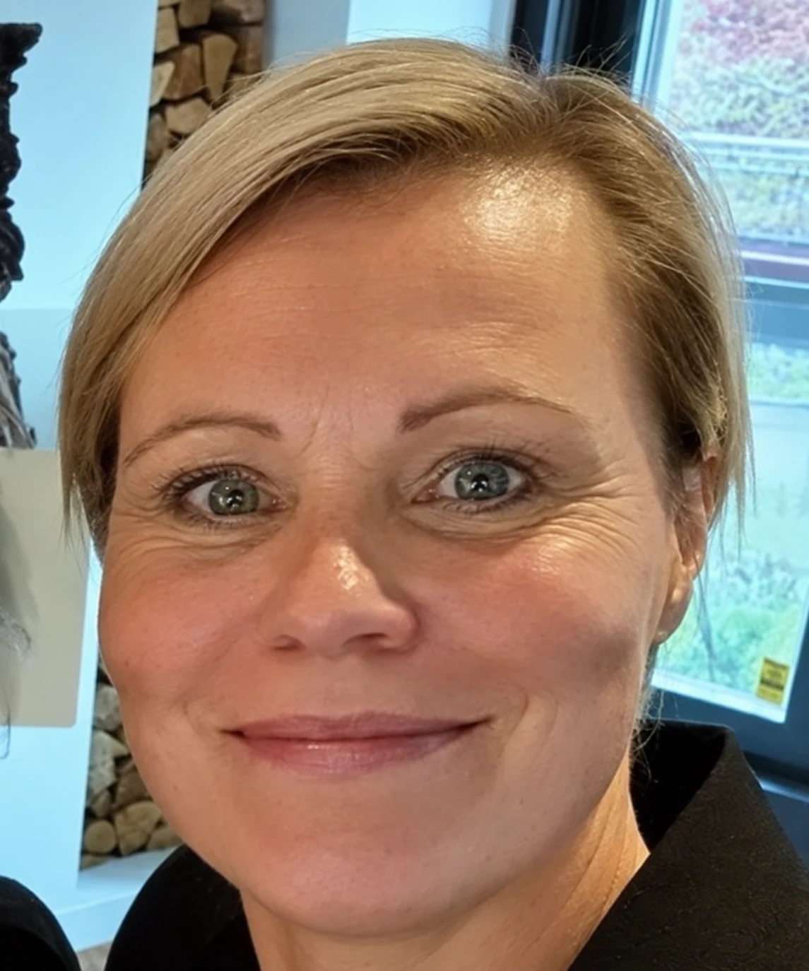 Anna Stark, Ordförande